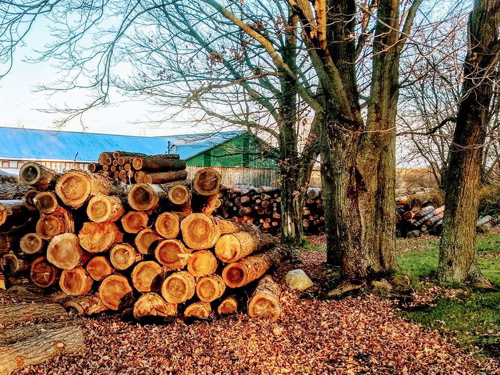 Billots, Scierie Cojovi